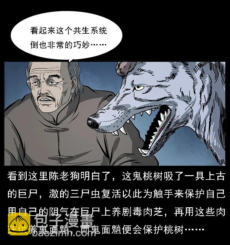 082 鬼桃树51