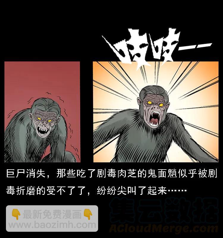 082 鬼桃树52