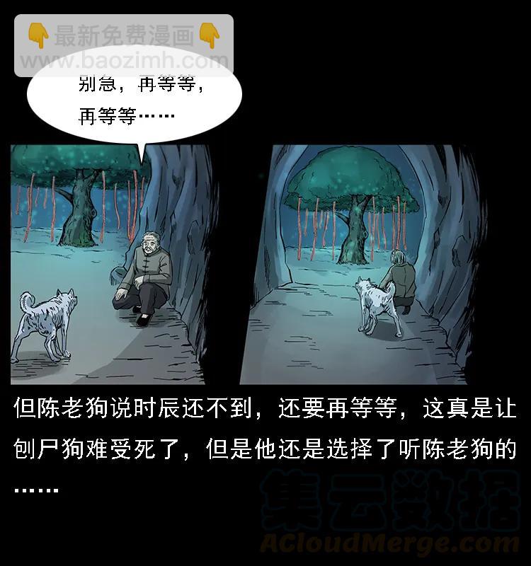082 鬼桃树60