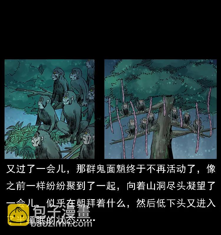 082 鬼桃树63