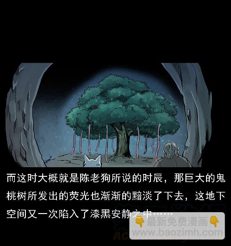 082 鬼桃树64