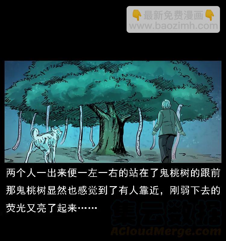 082 鬼桃树68