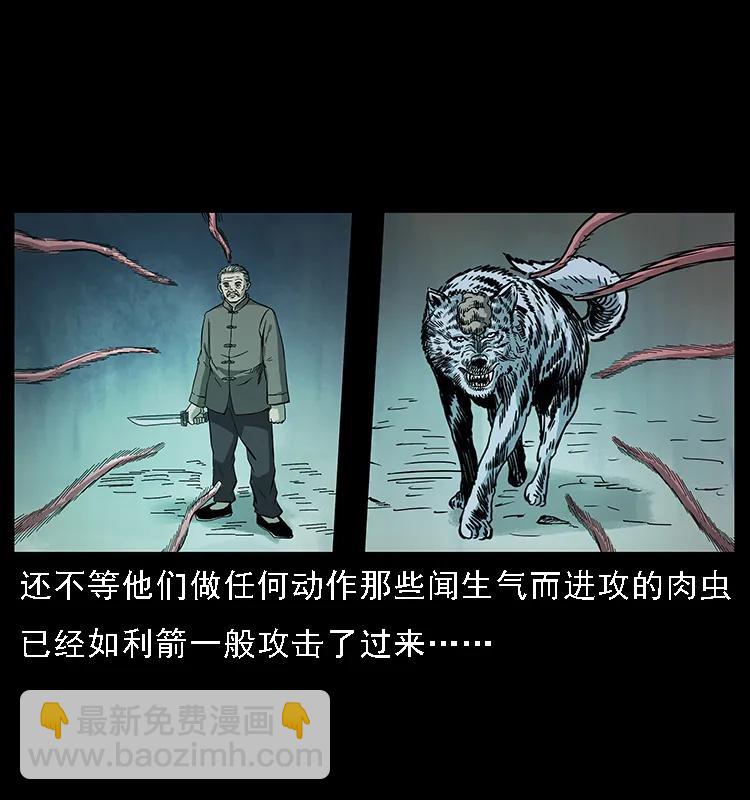 082 鬼桃树70
