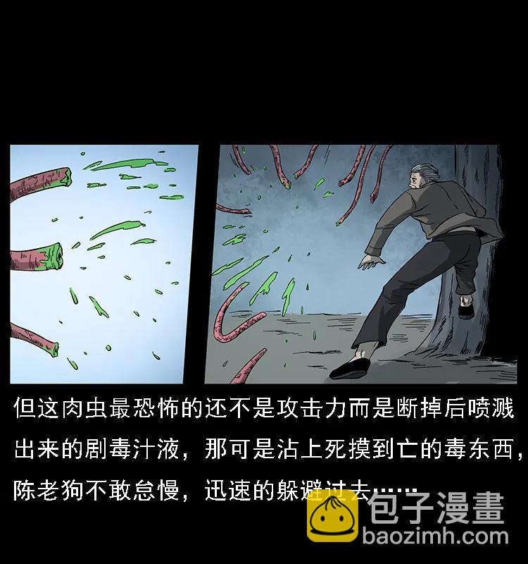 082 鬼桃树73