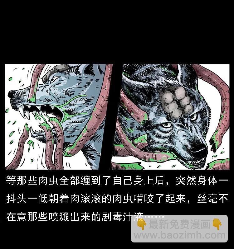 082 鬼桃树75