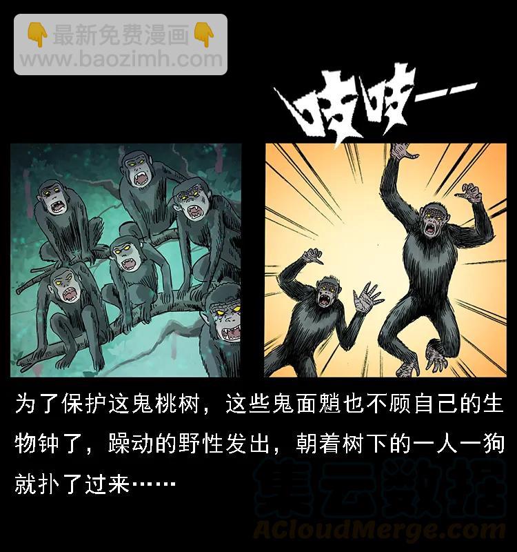 082 鬼桃树80