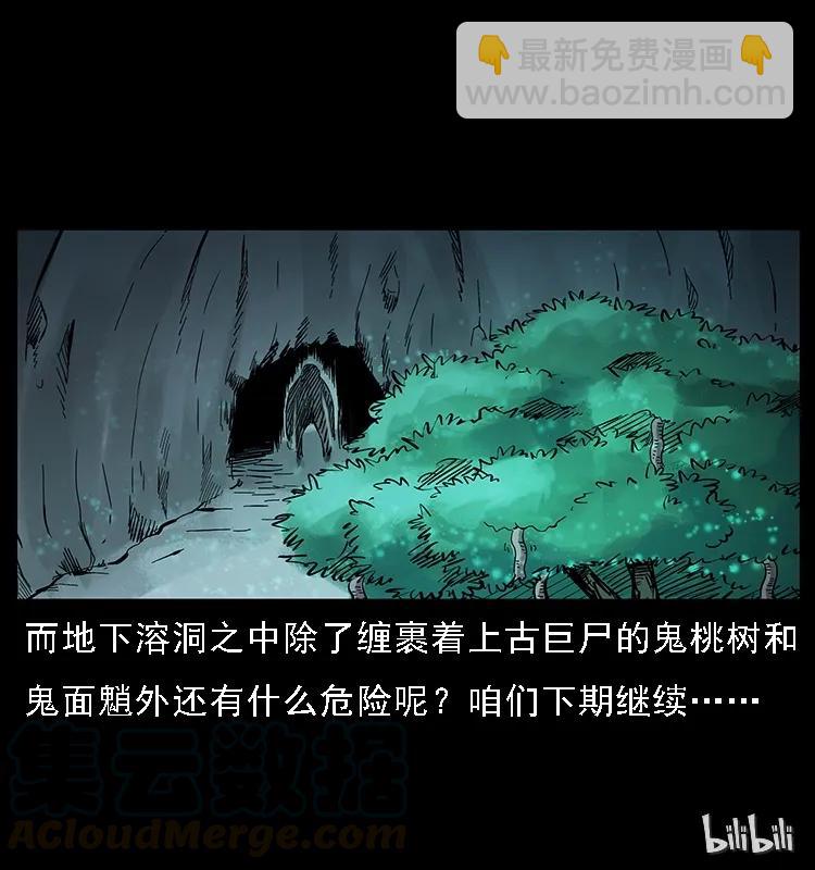 082 鬼桃树84