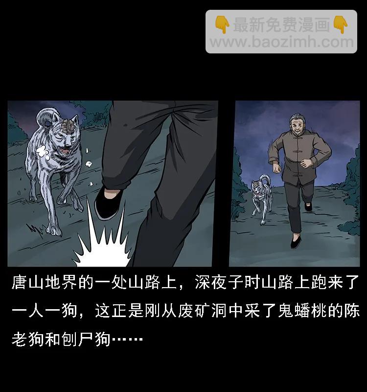 084 刨尸狗的妖化之路1