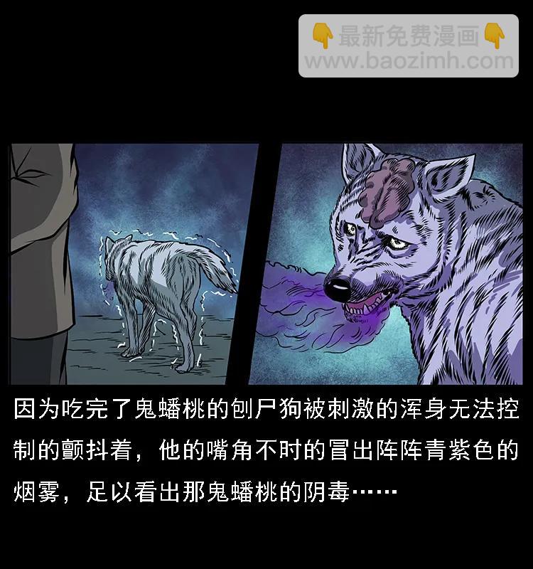 084 刨尸狗的妖化之路22