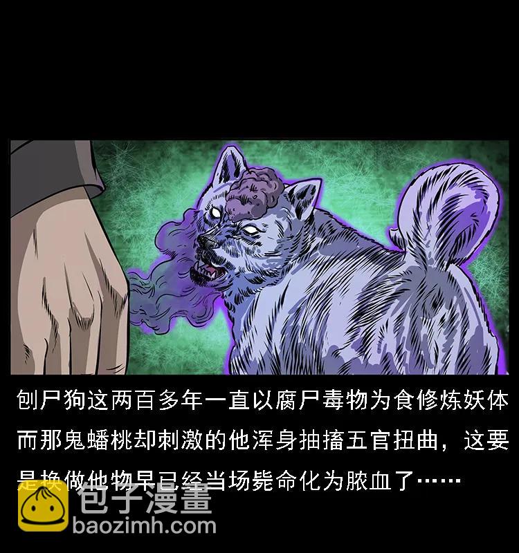 084 刨尸狗的妖化之路23