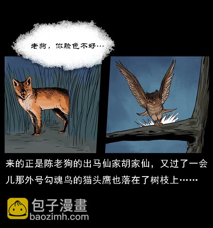 084 刨尸狗的妖化之路62