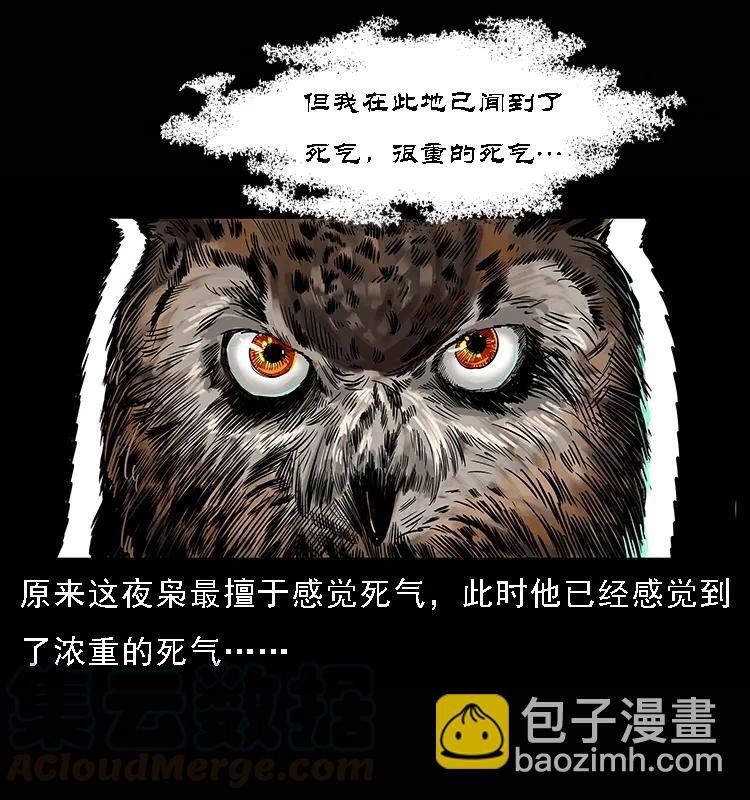 084 刨尸狗的妖化之路76