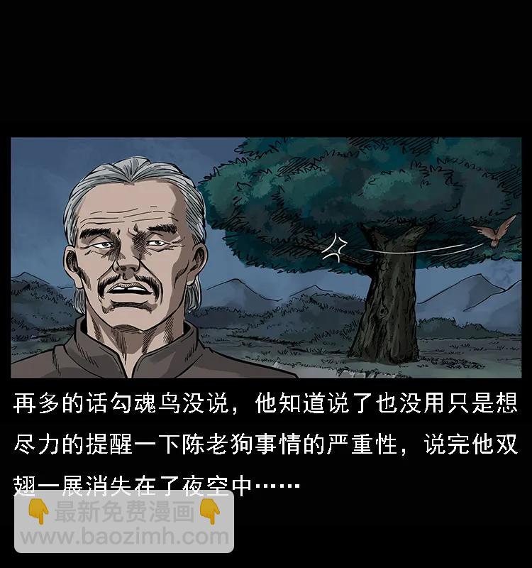 084 刨尸狗的妖化之路77