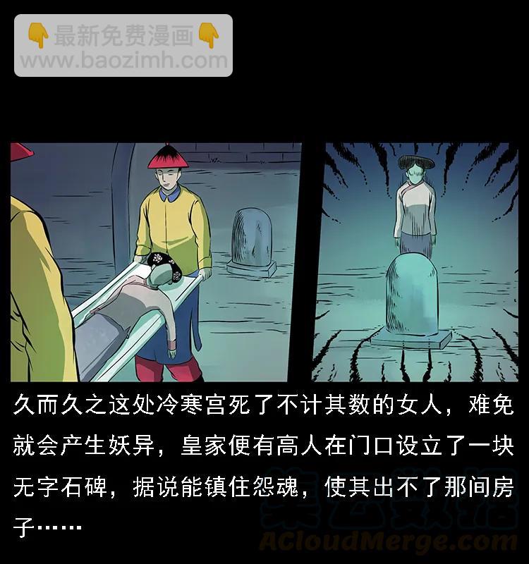 086 冷寒宫冤魂40