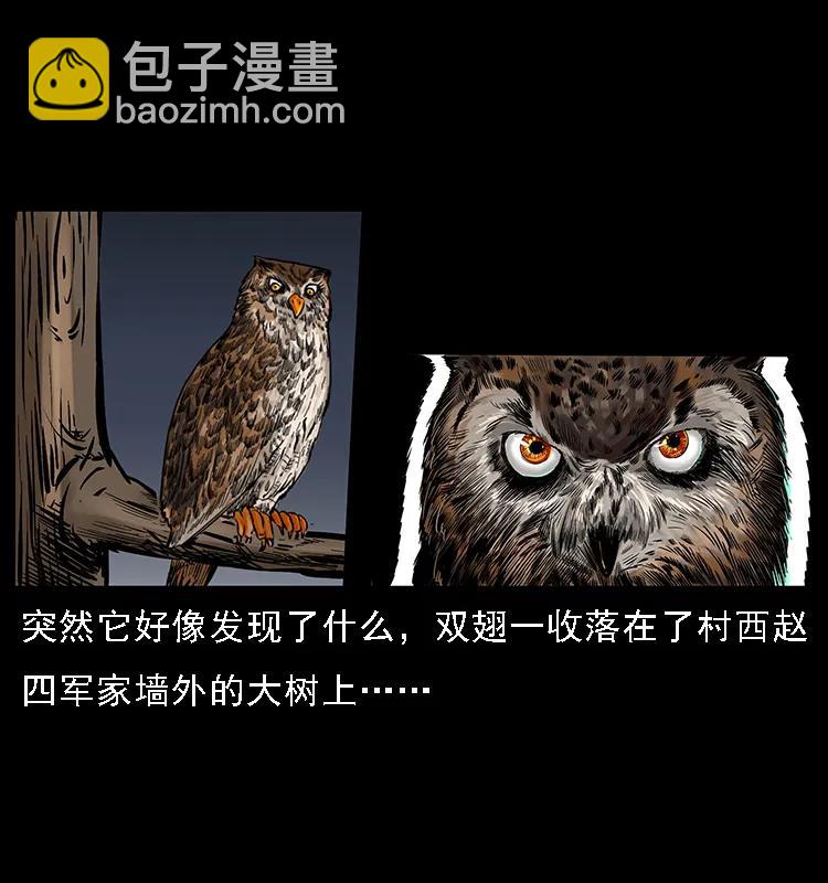 088 勾魂鸟夜枭2