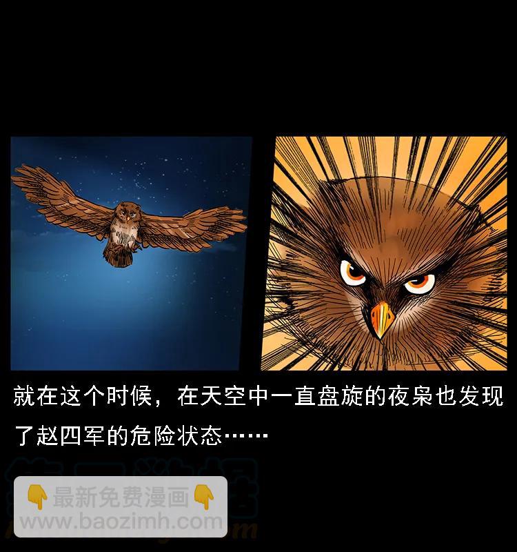 088 勾魂鸟夜枭24