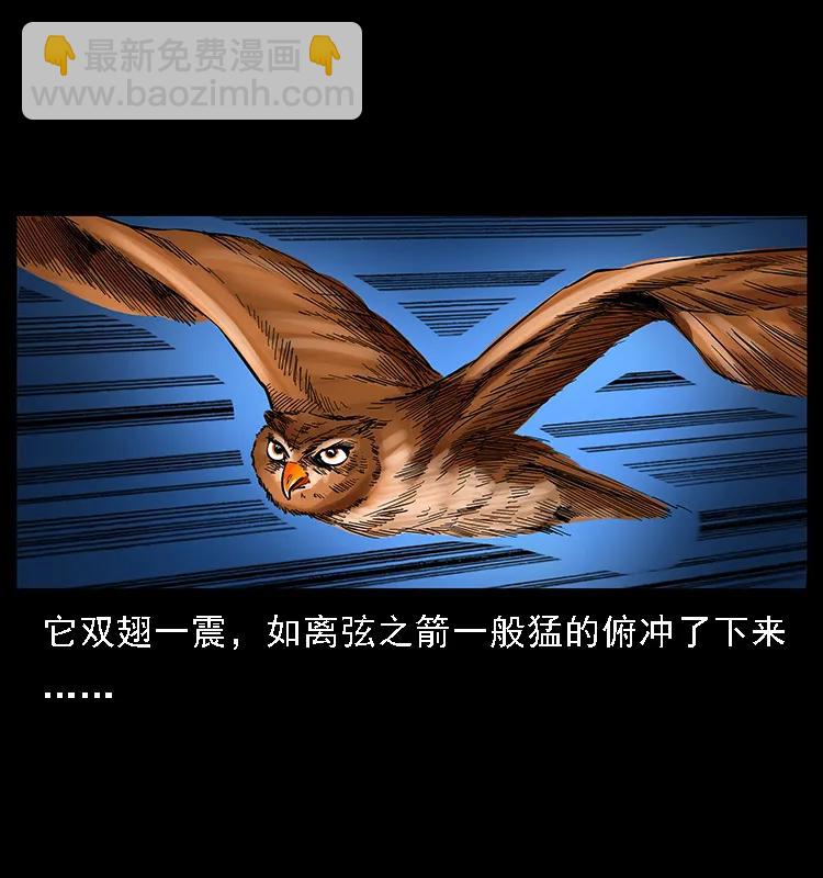 088 勾魂鸟夜枭25