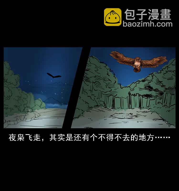 088 勾魂鸟夜枭91