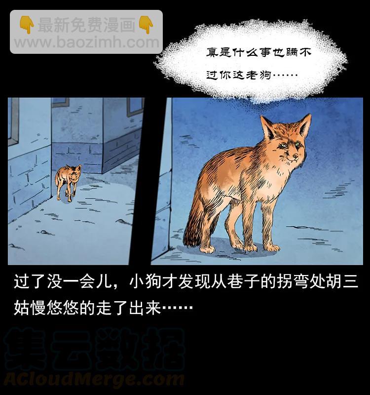 111 新的征程36