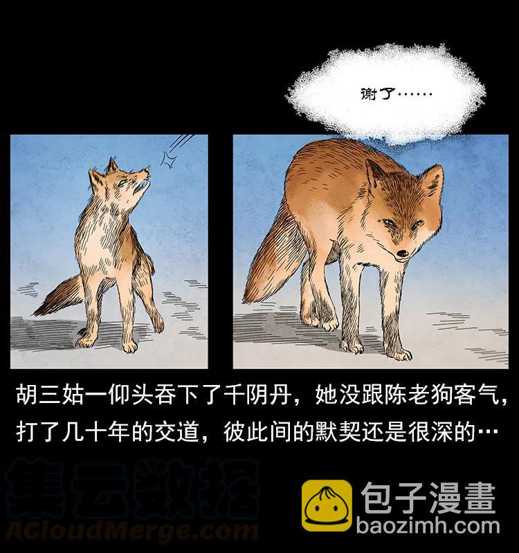 111 新的征程44