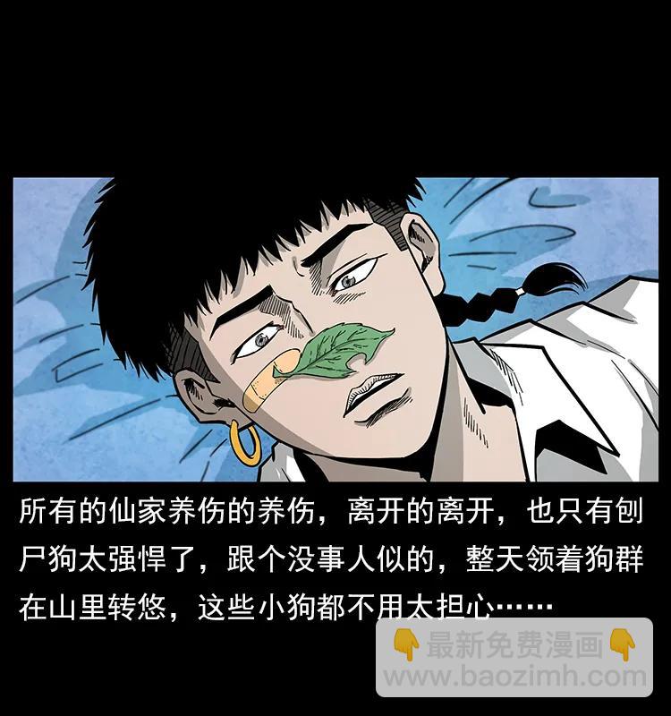 111 新的征程61