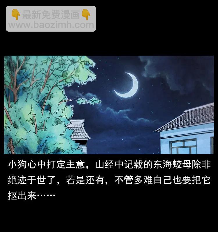 111 新的征程63
