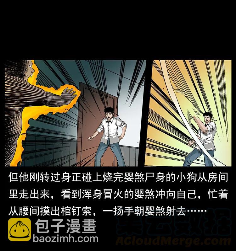 113 胎煞84