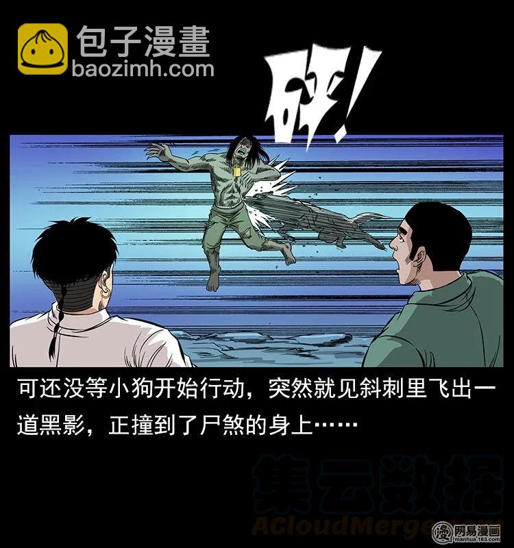 118 天宝仙牌36