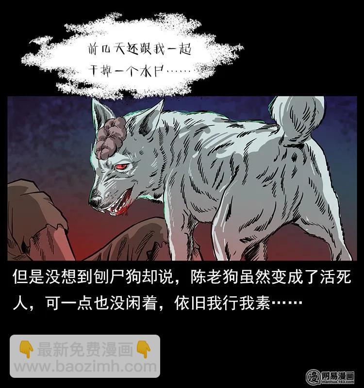 118 天宝仙牌86