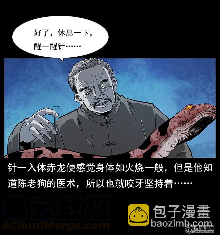 119 殃4