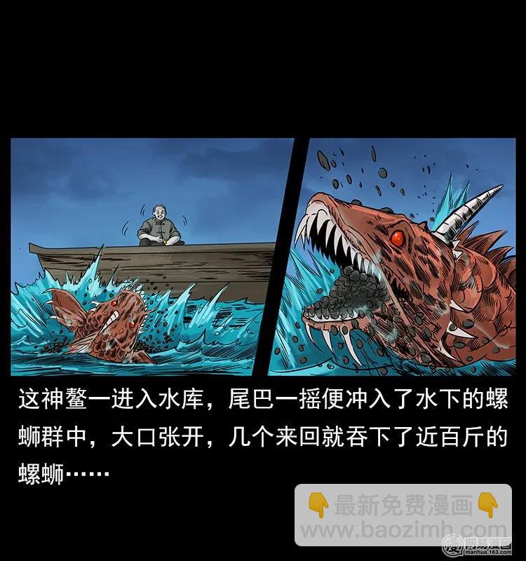 121 螺蛳37