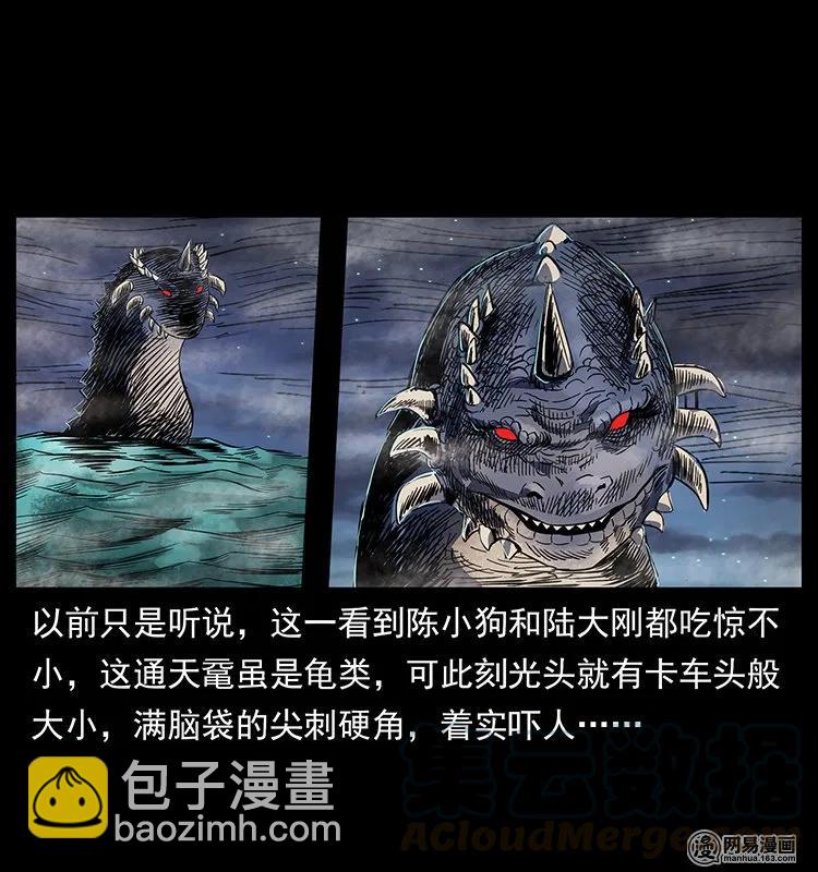 129 通天鼋80
