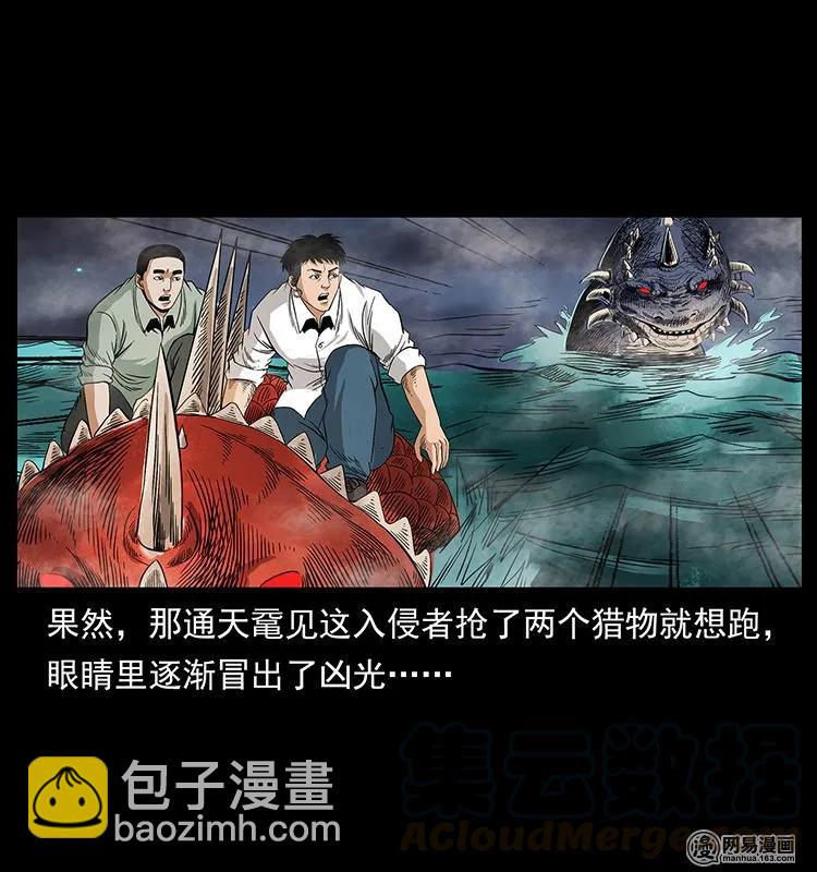 129 通天鼋84