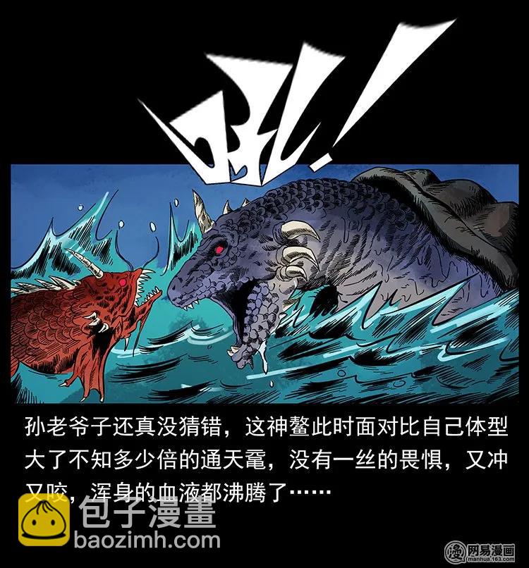 130 大战通天鼋22