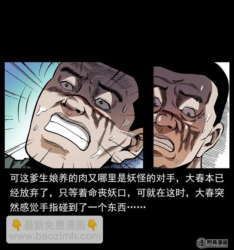 137 长白山毛脸怪77