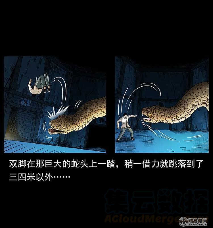 139 巨兽凶蟒16