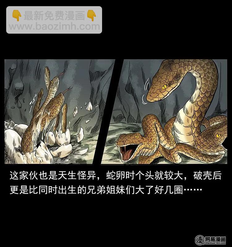 139 巨兽凶蟒41