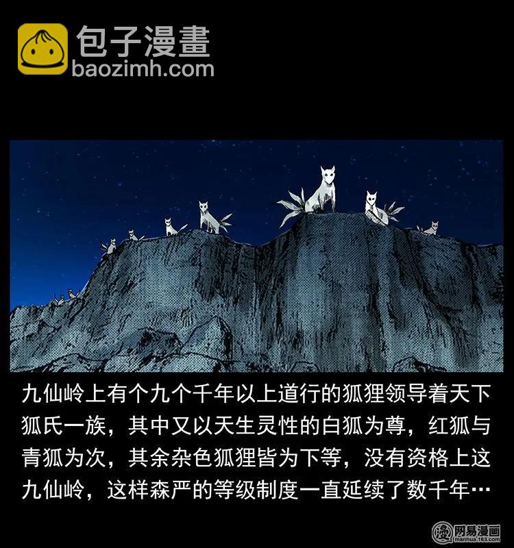 142 黑狐14