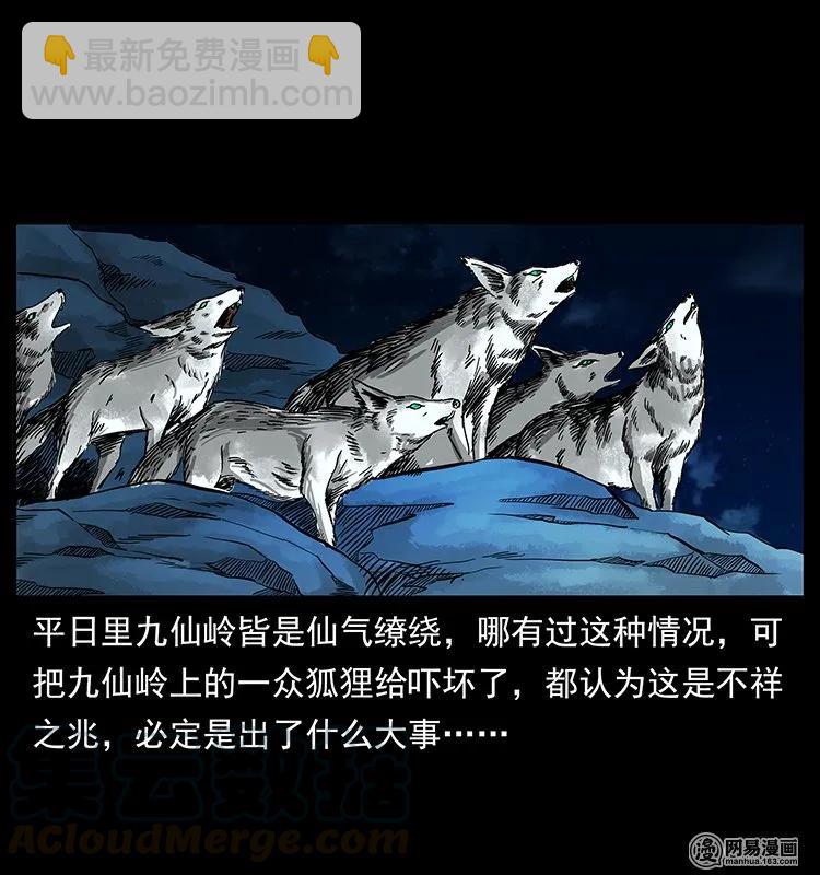 142 黑狐16