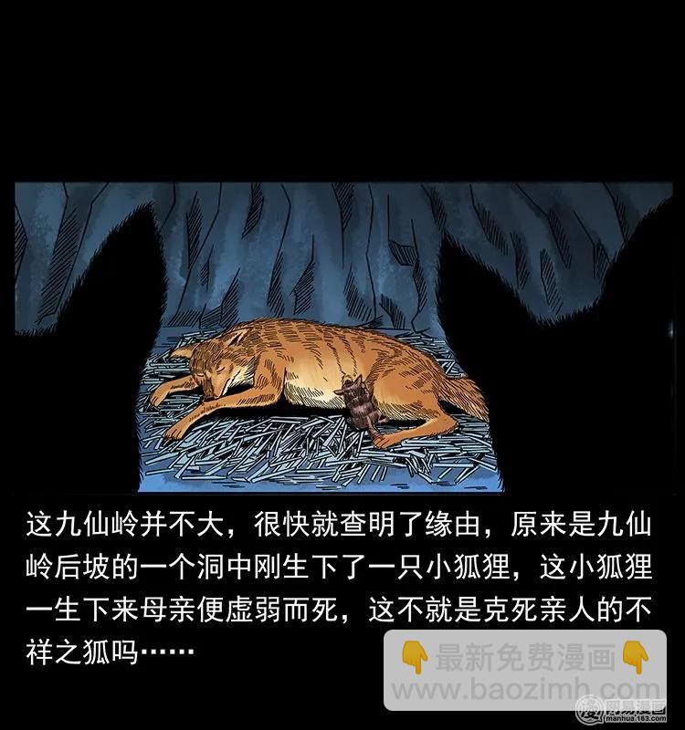 142 黑狐17