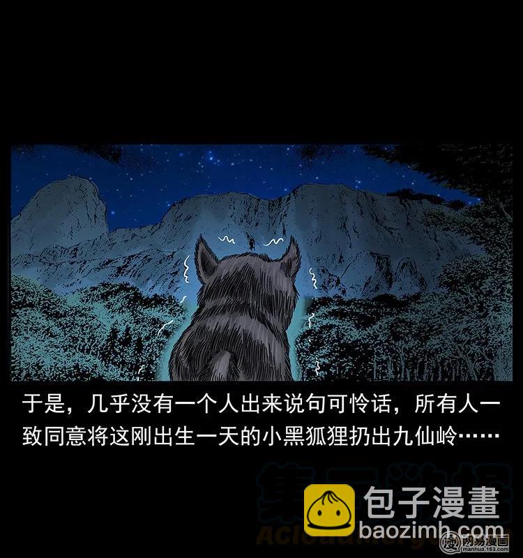 142 黑狐20