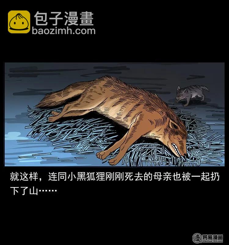 142 黑狐21