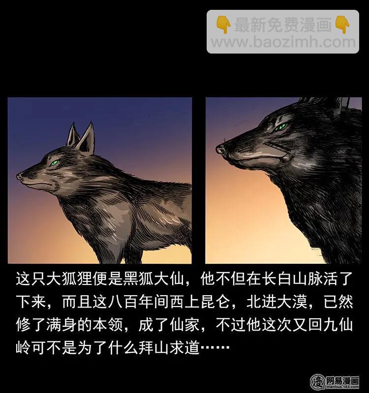 142 黑狐25