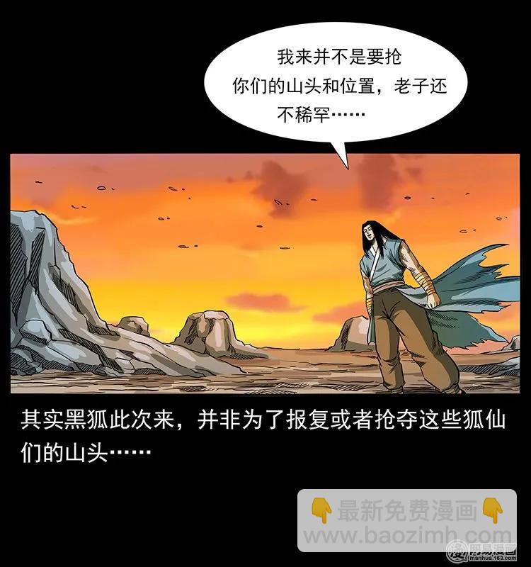142 黑狐45