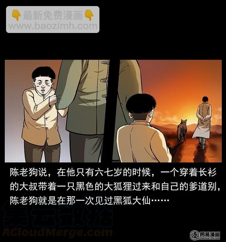 142 黑狐8