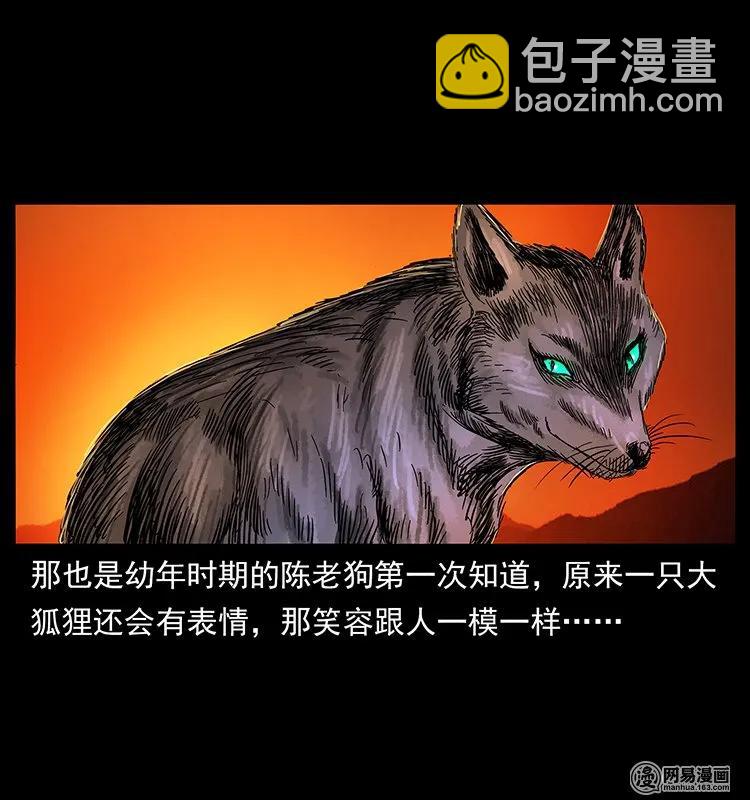 142 黑狐9