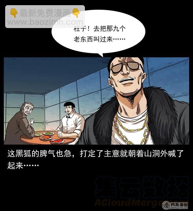 143 出马黑狐52