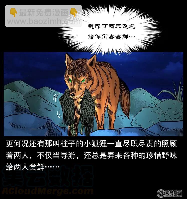 143 出马黑狐60