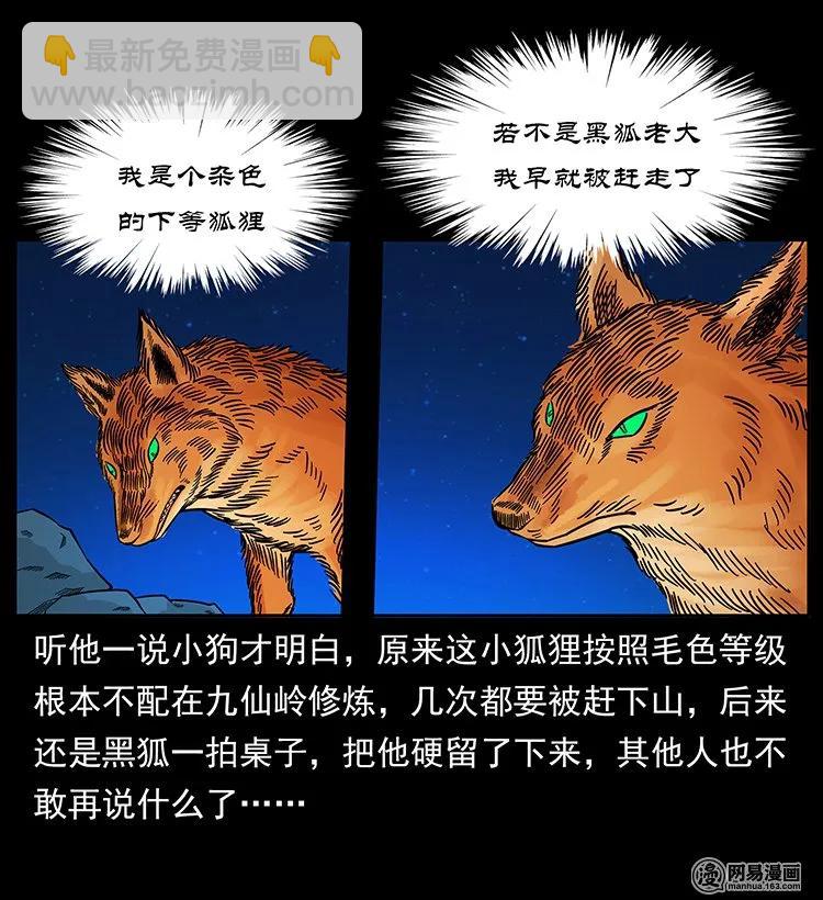 143 出马黑狐69