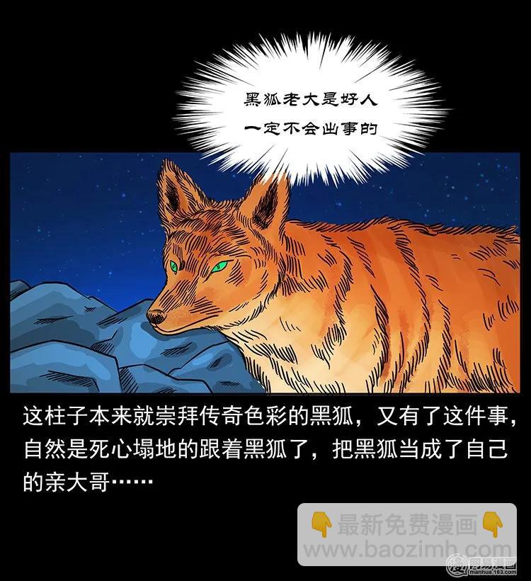 143 出马黑狐70